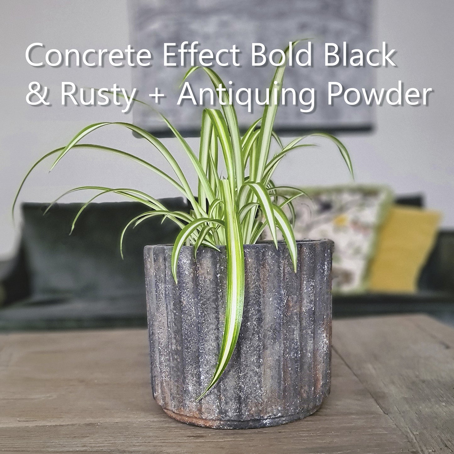 Blumentopf in Bold Black Concrete Effect