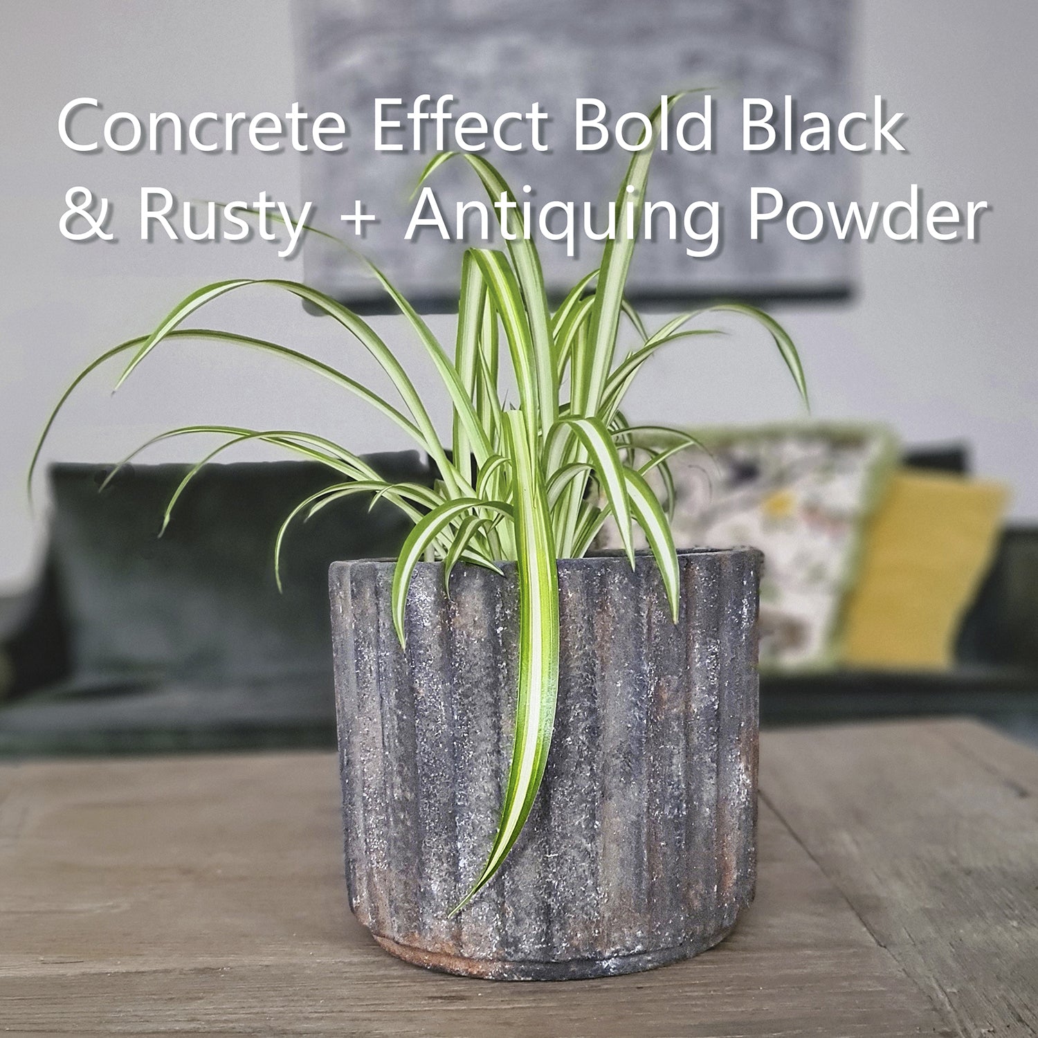 Blumentopf in Bold Black Concrete Effect
